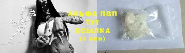 индика Медвежьегорск