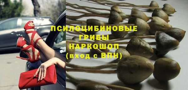 ECSTASY Мегион