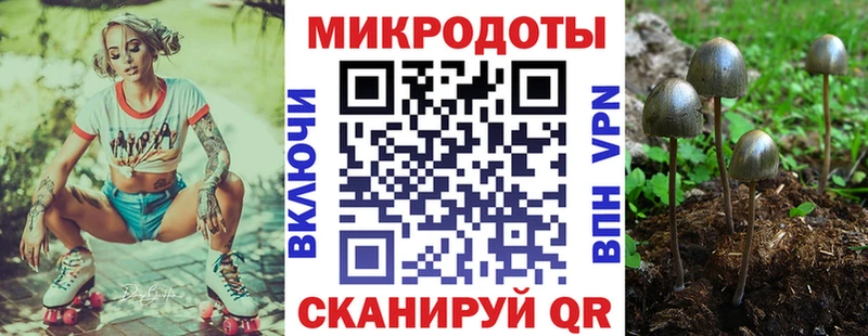 нарко площадка как зайти  Староминская  Галлюциногенные грибы мицелий 